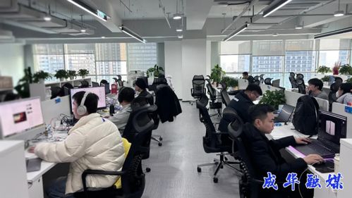出海升級，攻堅克難 成都成華科技企業開啟2026沖刺模式